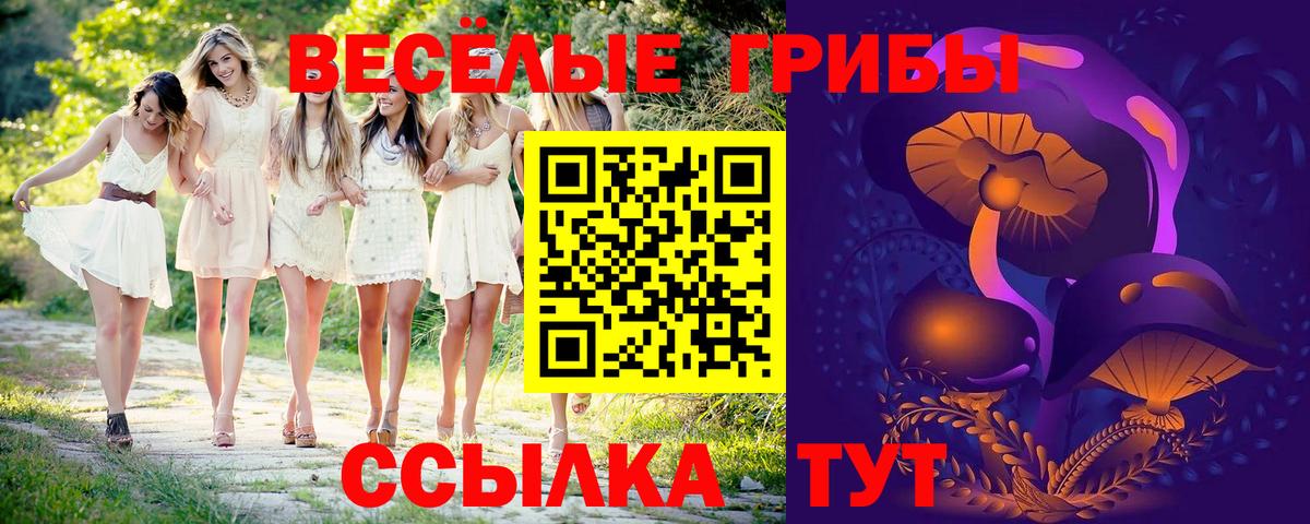 наркота  Вход с VPN  Галлюциногенные грибы MAGIC MUSHROOMS  Каспийск  Галлюциногенные грибы мицелий 